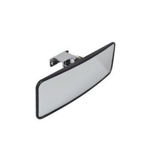 Ski mirror wide